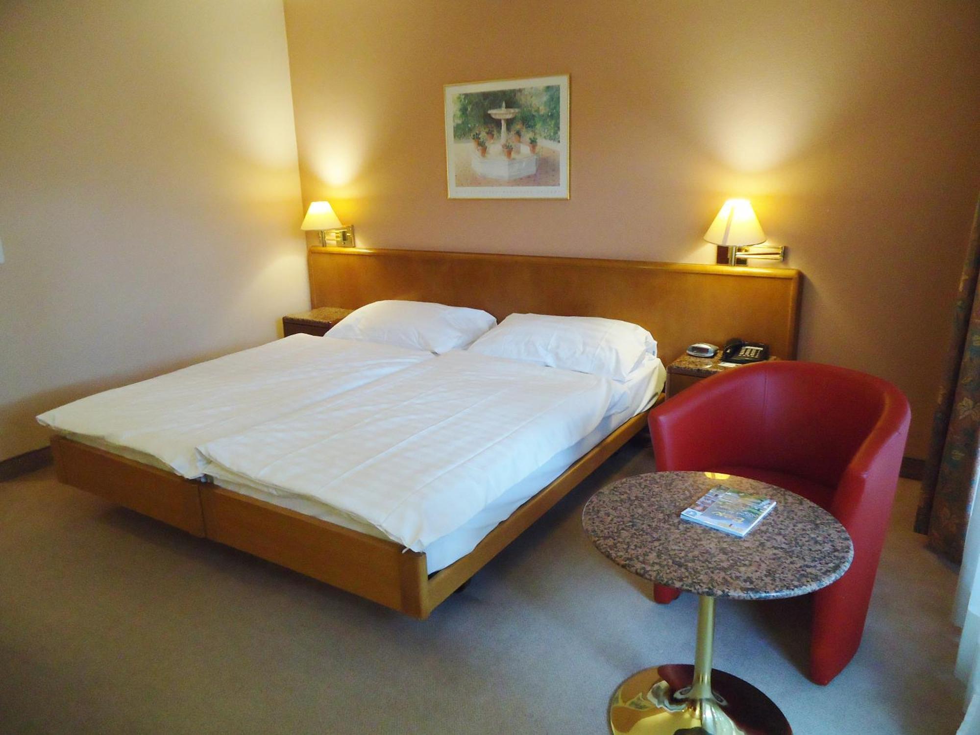 Hotel Le Cedre Bex Room photo